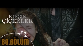 Kırgın Çiçekler 80. Bölüm Fragmanı